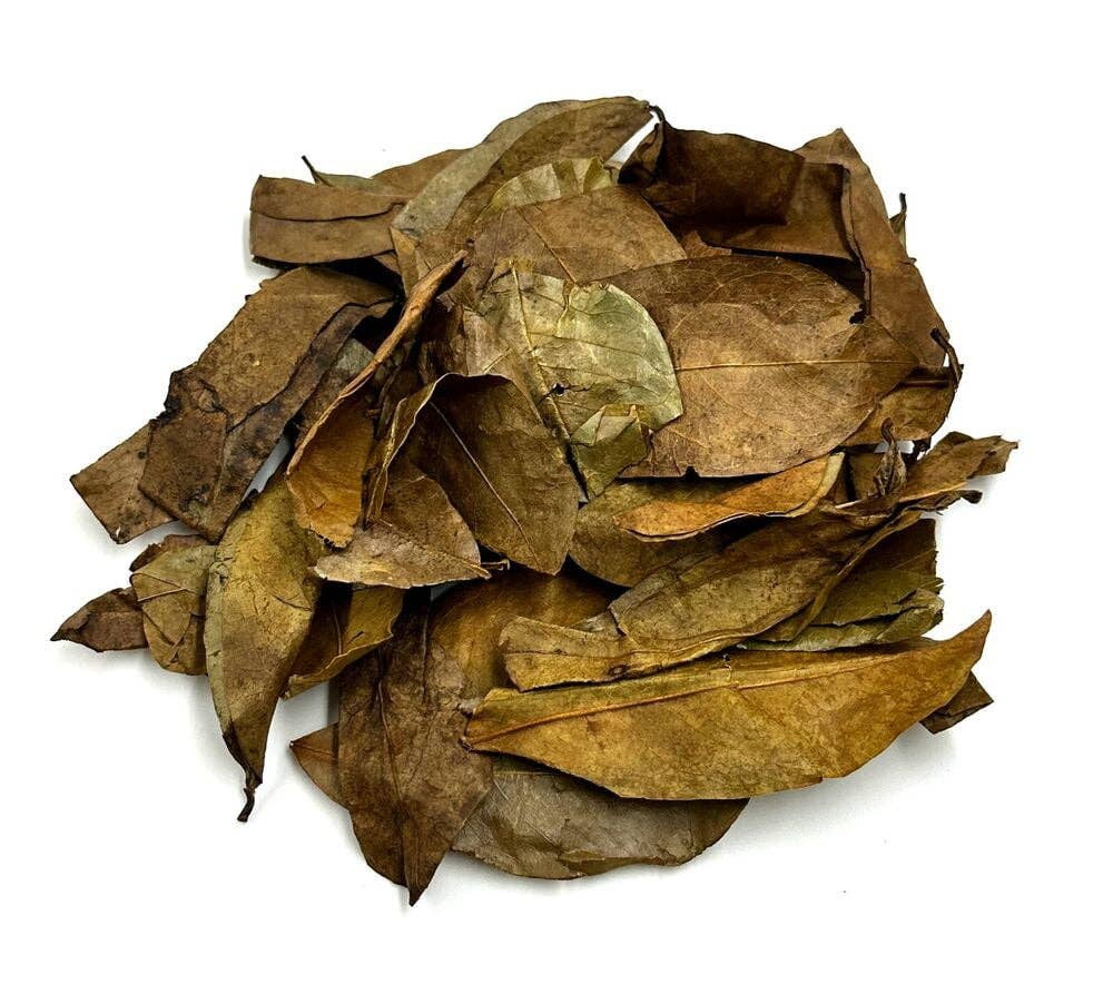 Dried Soursop Leaves (Graviola) – Herbal Tea