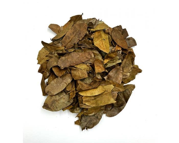 Dried Soursop Leaves (Graviola) – Herbal Tea